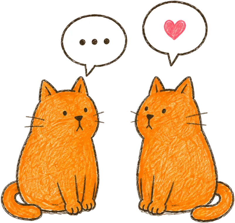 Illustration of two ginger cats sitting side by side, one with a heart in its speech bubble