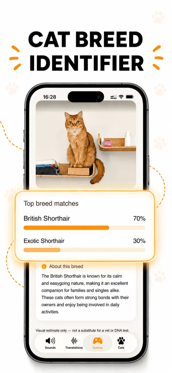 Breed Identifier showing British Shorthair and Exotic Shorthair breed matches with likelihood bars